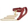 Generique Collier et Laisse Sclave Rouge
